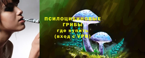 мдпв Магас