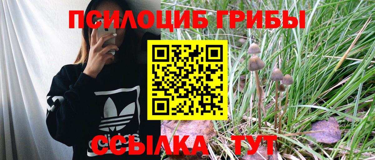 Псилоцибиновые грибы GOLDEN TEACHER Норильск
